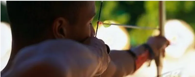 Archery target face with arrows