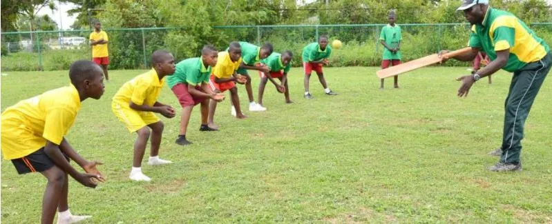 A coach leads a fielding drill for schoolchildren in yellow shirts on a grass pitch