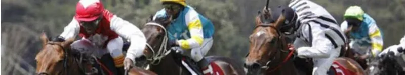 Jockeys racing their horses