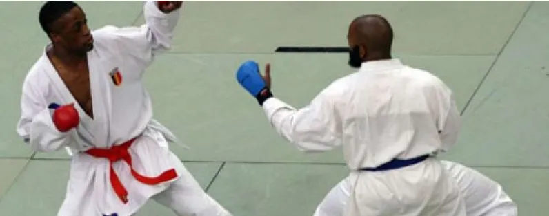 Two karatekas facing off in a kumite match