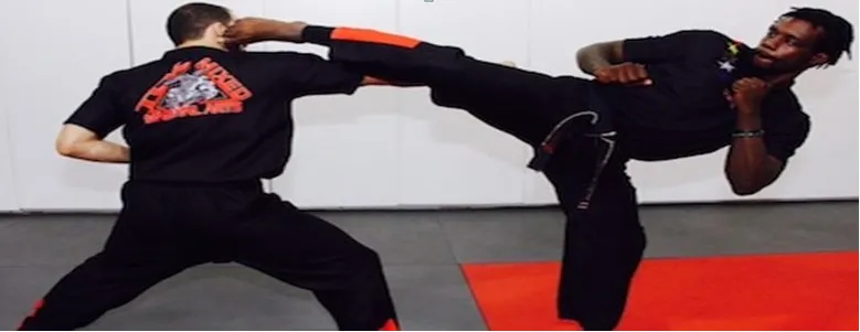 A martial artist delivering a high kick in training