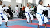 Karatekas performing kata