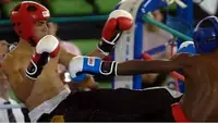 Kickboxer landing a kick